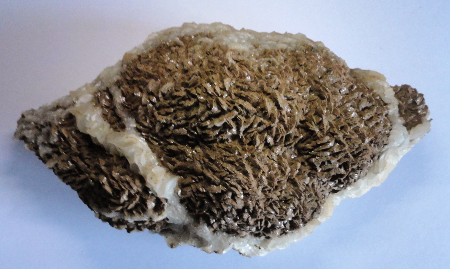 Dolomite, Calcite - 18x10x5cm - Junho de 2025