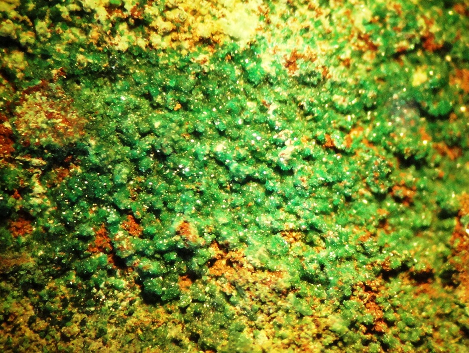 Brochantite - 5x4mm