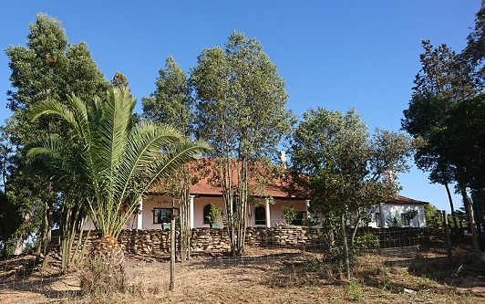 Palácio da mina - (Alcaxua)