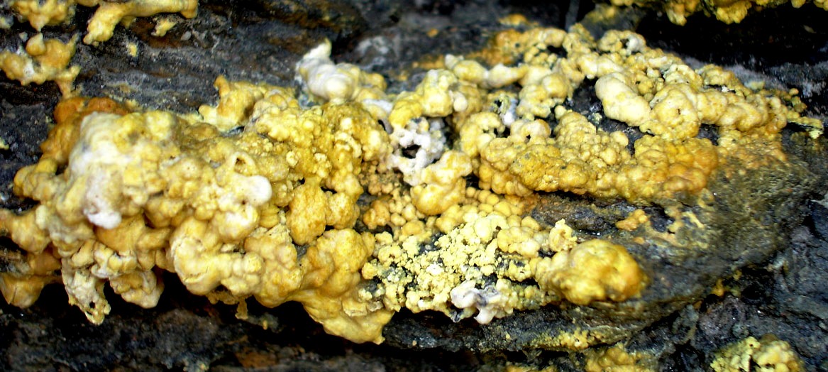 Copiapite, Enxofre - 10x6cm 