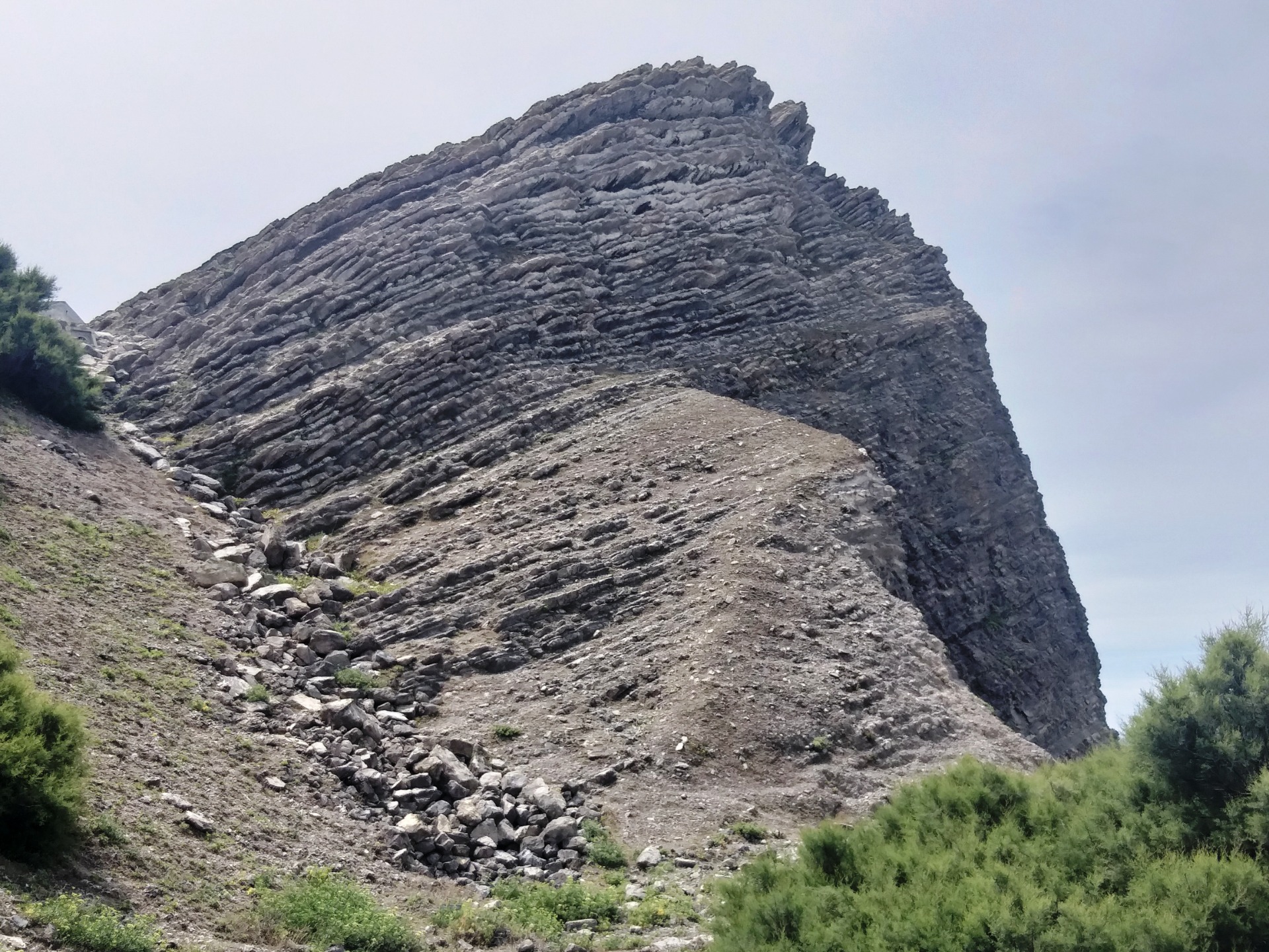 Monumento Natural do Cabo Mondego - Julho de 2024