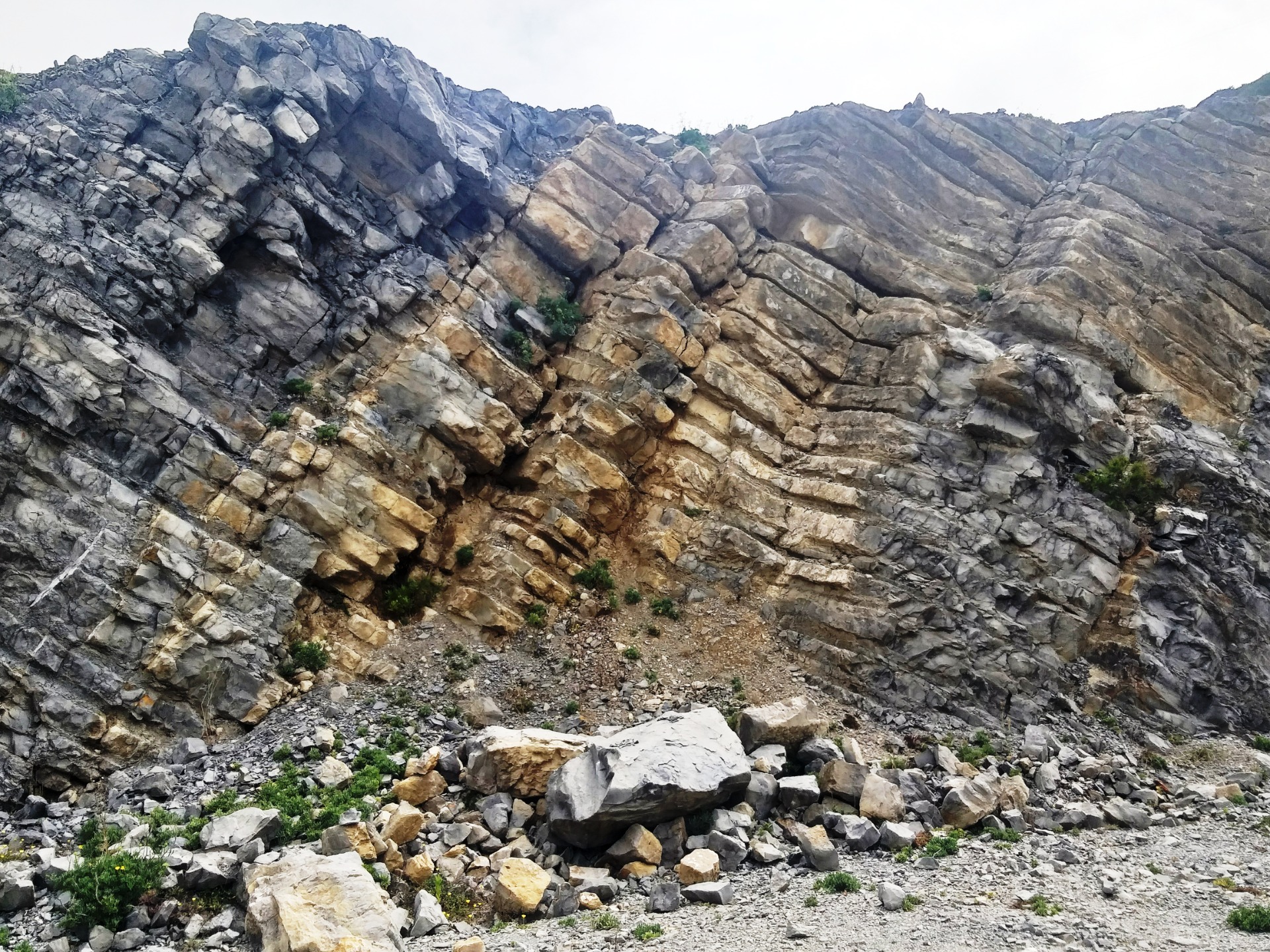 Estratos do Jurássico Médio - Julho de 2024