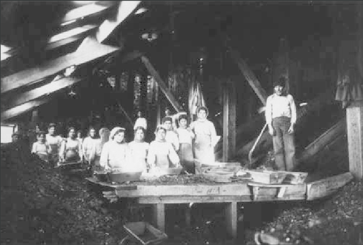 Escolha do Carvão - 1925 - (S. Pinto)